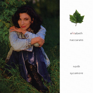 赖俊与沈莹的第二次相遇与相处
