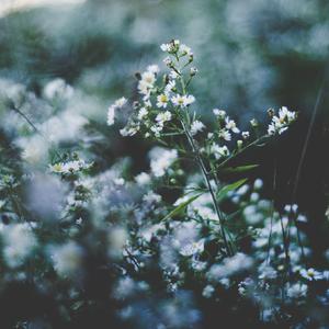 赖俊与沈莹的第二次相遇与相处
